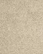 Diffurent Choice I 32oz Pet Friendly Carpet