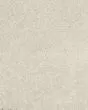 Diffurent Choice II 45oz Pet Friendly Carpet
