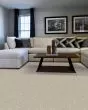 Claws and Effect II 58oz Pet Friendly Carpet