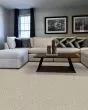 Diffurent Choice III 58oz Pet Friendly Carpet