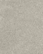 Claws and Effect II 58oz Pet Friendly Carpet