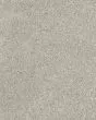 Diffurent Choice III 58oz Pet Friendly Carpet