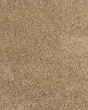 Diffurent Choice I 32oz Pet Friendly Carpet