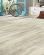 Discovery Ridge SolidTech Essentials Lambs Ear Luxury Vinyl