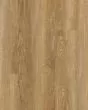 Discovery Ridge SolidTech Essentials Richmond Gold Vinyl
