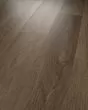 Distinction Plus Barrel Oak Luxury Vinyl