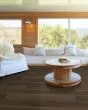Distinction Plus Barrel Oak Luxury Vinyl