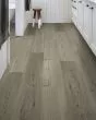 Distinction Plus Light Pine Luxury Vinyl