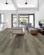 Distinction Plus Light Pine Luxury Vinyl