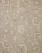 Dorothea DRT-01 Stone/Multi 2'3"x3'9" Area Rug