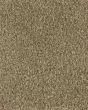 Dove Creek Greek Column Carpet