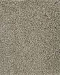 Dove Creek Joyful Prelude Carpet