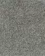 Dove Creek SmartStrand Textured 45oz Carpet