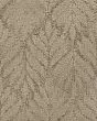 Dramatic Features Patterned Nylon 45oz Carpet
