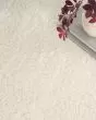 Dreamy Shag DRS05 Ivory Area Rug