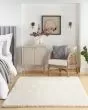 Dreamy Shag DRS05 Ivory Area Rug