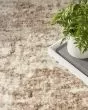 Dreamy Shag DRS10 Ivory Dark Beige Area Rug