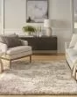 Dreamy Shag DRS10 Ivory Dark Beige Area Rug