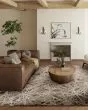 Denizi DZ4 Taupe Area Rug