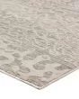 Denizi DZ6 Silver Area Rug
