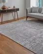Eastfield 69A9F Gray Area Rug