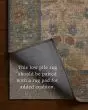 Edinburgh EDN-02 Tan/Olive Area Rug