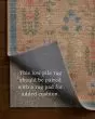 Edinburgh EDN-03 Wheat/Multi Area Rug