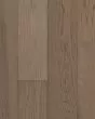 Nature's Canvas Gold Hickory Harvest Haven Hardwood