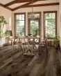 Nature's Canvas Silver Hickory Desert Hill Hardwood