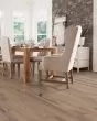 Nature s Canvas Gold White Oak Woodland Mist