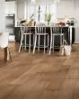 Nature's Canvas Platinum White Oak Sunny Shade Hardwood