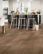 Nature's Canvas Platinum White Oak Back Country Hardwood