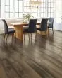 Ellison Maple Meridian 6" Hardwood