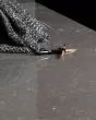 Embrace Quartz Countertop