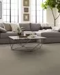 Emergence Patterned Pet Friendly 39oz Carpet