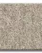 Emergence Patterned Pet Friendly 39oz Carpet