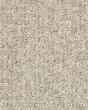 Emergence Gold Rush Carpet