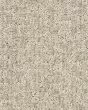 Emergence Patterned Pet Friendly 39oz Carpet