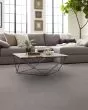Emergence Sterling Carpet