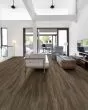 Endura Plus Cinnamon Walnut Luxury Vinyl