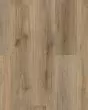 Endura Plus Wild Dunes Luxury Vinyl