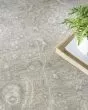 Envy EVV02 Grey Area Rug