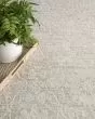 Envy EVV05 Cream Area Rug