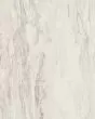 Evolution White Marble Porcelain Tile