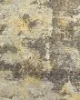 Evolution 8025b Grey/Gold Area Rug