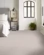 Expertise Textured 48oz Pet Friendly Carpet