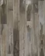 Explorers Cove SolidTech Select Raccoon Luxury Vinyl