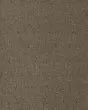 Exquisite Reputation SmartStrand 45oz Carpet