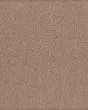 Fashion Culture Sandalwood Carpet
