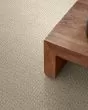 Fetch Pet Friendly Nylon 31oz Pattern Carpet